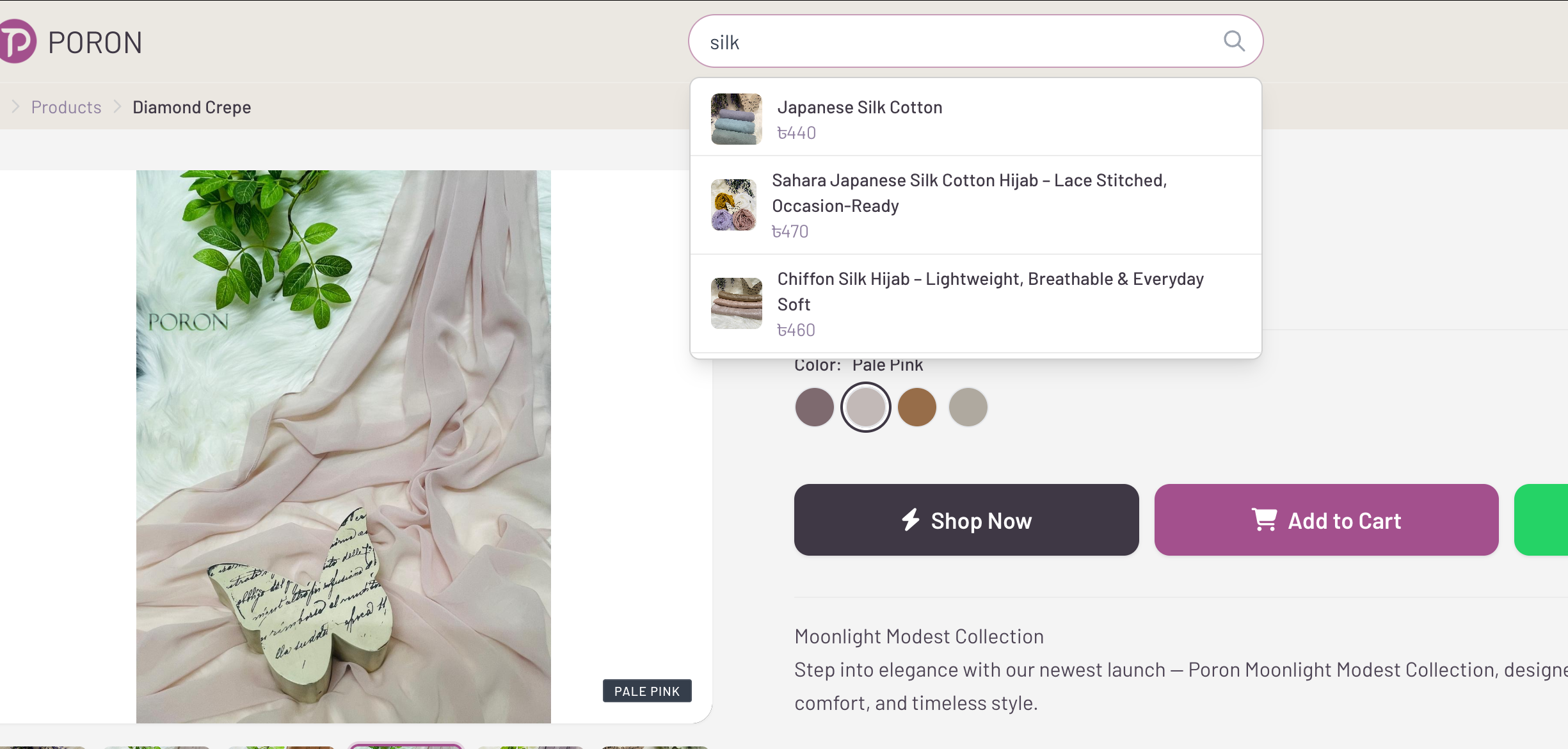 E-Commerce System for an Online Retailer
